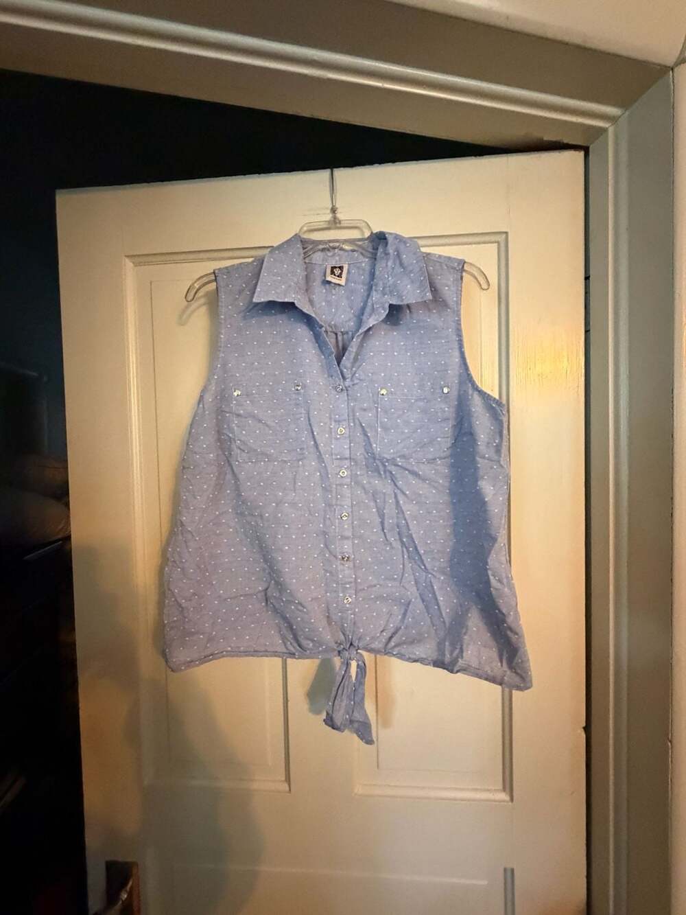 Anne Klein Blue Dot Swiss Dot Sleeveless Button-Down Tie-Front Shirt Large